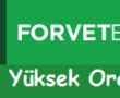 Forvetbet Yüksek Oranlar